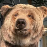 Kaleb Maxwell - @kaleb9275 - Instagram