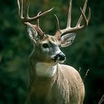 @kaleb_mays81889 - Instagram