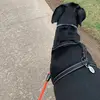 KalebMcCoy - @kalebmccoy1234 - TikTok