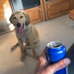 Kaleb McCulloch - @mcculloch410 - Instagram