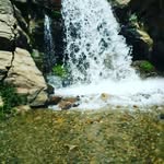 Kaleb Mcguire - @kaleb.mcguire.39 - Instagram