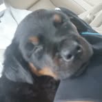 CaLeb McIntyre - Facebook