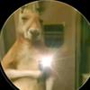 Kaleb Meza - @kaleb.meza7 - TikTok