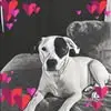 Kaleb Michael - @kaleb.michael93 - TikTok