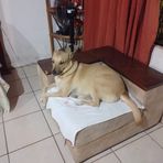 Kaleb Mora - Facebook