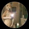 Kaleb Morales - @kaleb.morales7 - TikTok