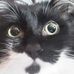 Kaleb Morey - Facebook