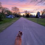 Kaleb Morgan - @kaleb.0.81 - Instagram