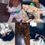 Kaleb Morrow - @bakerkaleb316 - Instagram