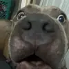 kalebmorrow19 - @heyyyy.boboklates - TikTok