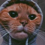 Kaleb Murphy - @themanz800 - Instagram