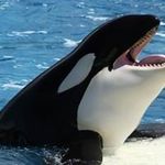 Kaleb Murphy - @kaleb.murphy.946 - Instagram