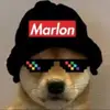 Kaleb Murphy - @kalebmurphy1 - TikTok