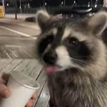 Kaleb Newman - @kaleb_newman._._ - Instagram