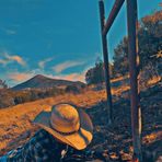 Kaleb Newman - Facebook