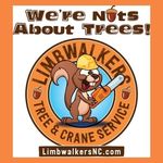 Kaleb Nicholson - @limbwalkersnc - Instagram