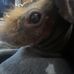 Caleb Norton - Facebook