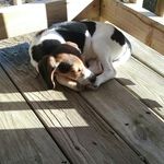 Kaleb Osborne - @osborne.kaleb - Instagram