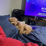 Kaleb Owens - Facebook