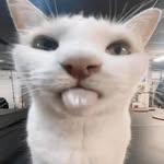 kaleb - @kaleb_parkhurst - Instagram