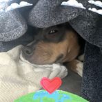 Kaleb Park - Facebook