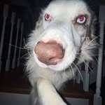 Kaleb parrish - @kalebp888 - Instagram