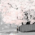 kaleb parsons - @kaleb0230kt - Instagram