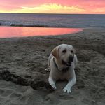 Kaleb Parsons - @kaleb_parsons56 - Instagram