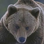 kaleb pearce - @kalebjeromepearce - Instagram