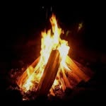 Kaleb Penner - @pennerkaleb - Instagram
