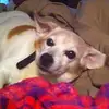 Kaleb Peters - @kalebpeters6 - TikTok