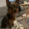 Kaleb Peterson - @kaleb.peterson1 - TikTok