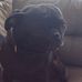 Kaleb Pierre - Facebook