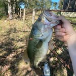 Kaleb Poole - @kalebpoole_58 - Instagram