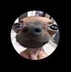 Kaleb Pratt - Facebook