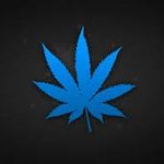Kaleb Preston - @kaleb_gets_turnt - Instagram
