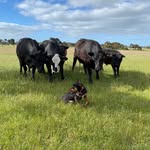 Kaleb - @kaleb.price12 - Instagram
