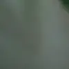 kaleb_ramos - @kaleb_ramos - TikTok