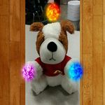 kaleb rasco - @kalebrasco - Instagram