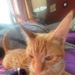 Kaleb Raymond - Facebook