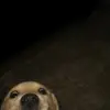 Kaleb_Reyes - @kalebreyes_ - TikTok