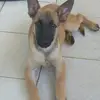 Kaleb Reyes - @kaleb.reyes79 - TikTok