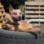 Kaleb Richmond - @theaussiewanderer - Instagram