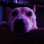 Kaleb Robbins - @kalebnrobbins - Instagram