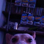 Kaleb Robbins - Facebook