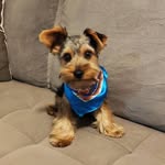 Kaleb Rocha - @okaleb.rocha - Instagram