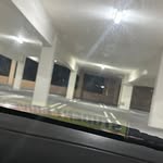 kale - @kalebrower - Instagram