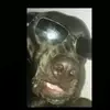 ivankaleb12 - @kalebruiz89 - TikTok
