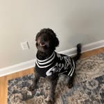 Kaleb Ryan - @kaleb11ryan - Instagram