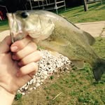 Kaleb Ryan Brittain - @kaleb_brittainnn - Instagram